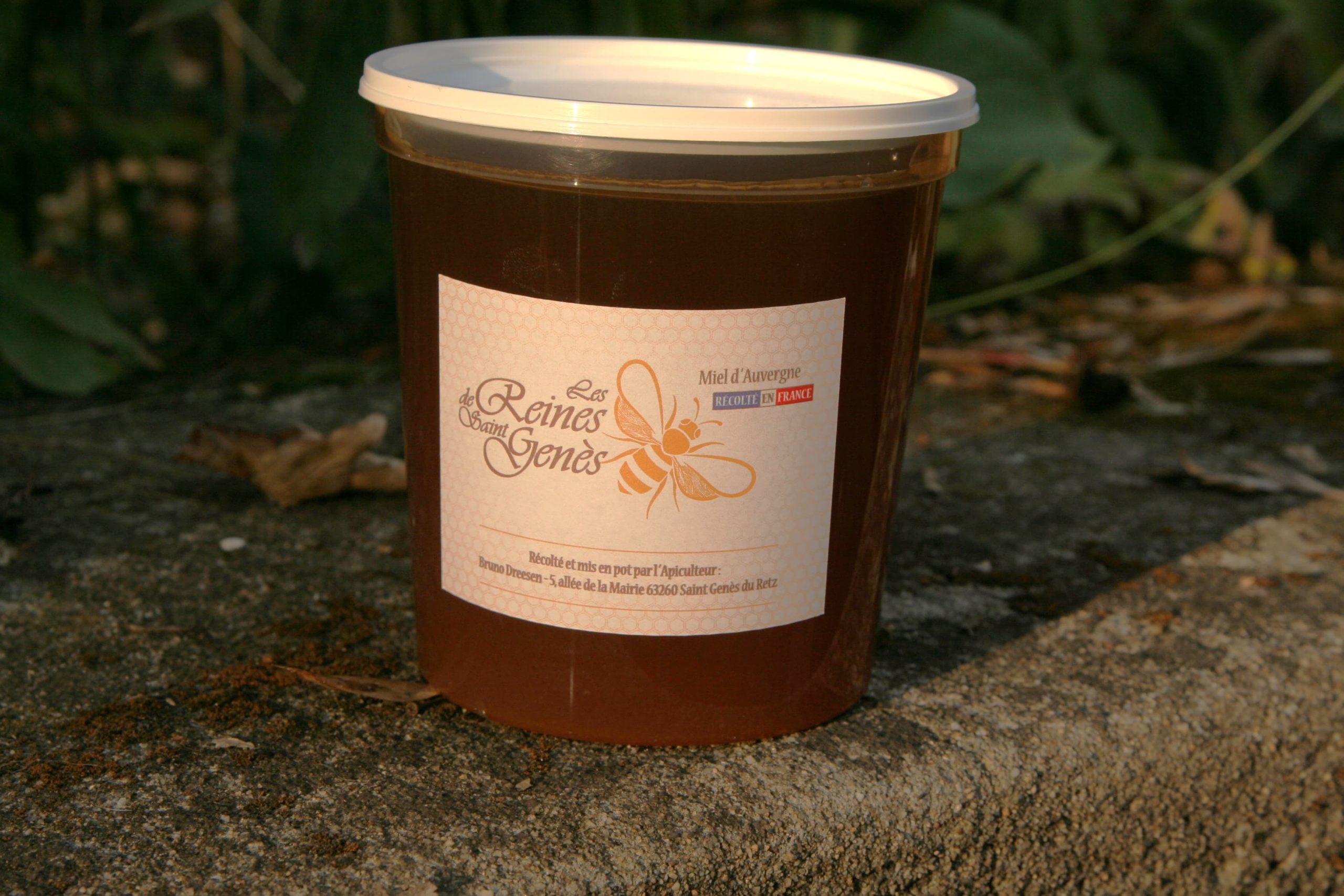 Miel de Ronce d’Auvergne 1 kg