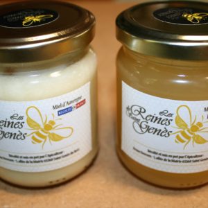 Miel de Printemps 250g